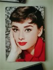 تابلو عکس چوبی مشاهیر سینما 42 (13cm*18cm)